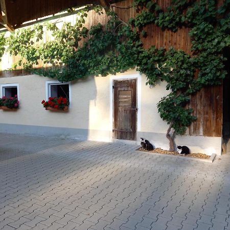 Landhof Ella - Ferienhaus Vor Den Toren Salzburgs Petting Zewnętrze zdjęcie