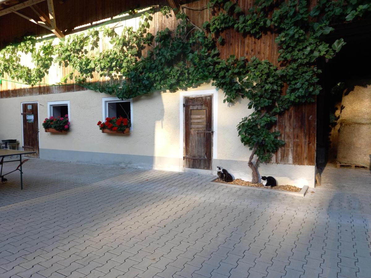 Landhof Ella - Ferienhaus Vor Den Toren Salzburgs Petting Zewnętrze zdjęcie