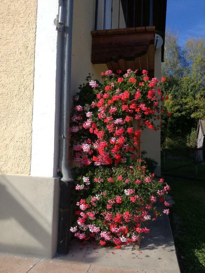 Landhof Ella - Ferienhaus Vor Den Toren Salzburgs Petting Zewnętrze zdjęcie
