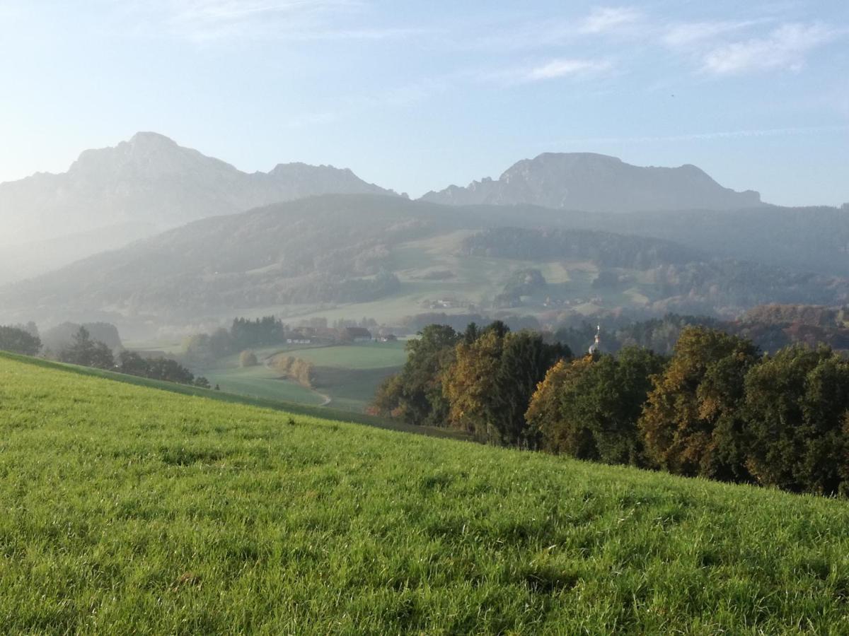 Landhof Ella - Ferienhaus Vor Den Toren Salzburgs Petting Zewnętrze zdjęcie
